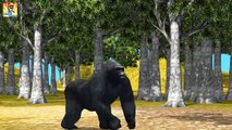 Crazy Gorilla VS Bear Finger Family _ Animals Cartoons Finger Family Rhymes-bTABG_vbnFY