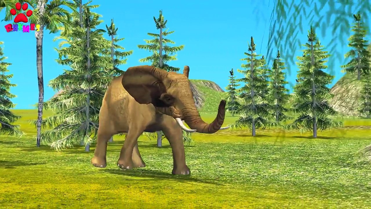 Elephant Finger Family Nursery Rhyme 3D _ 3D Animals Cartoons Finger Family Rhymes-aWS5hldpgPI