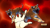 Finger Family Children Nursery Rhymes Animals Cartoons _ King Kong Lion Tiger Finger Family-HL90fpjpduw