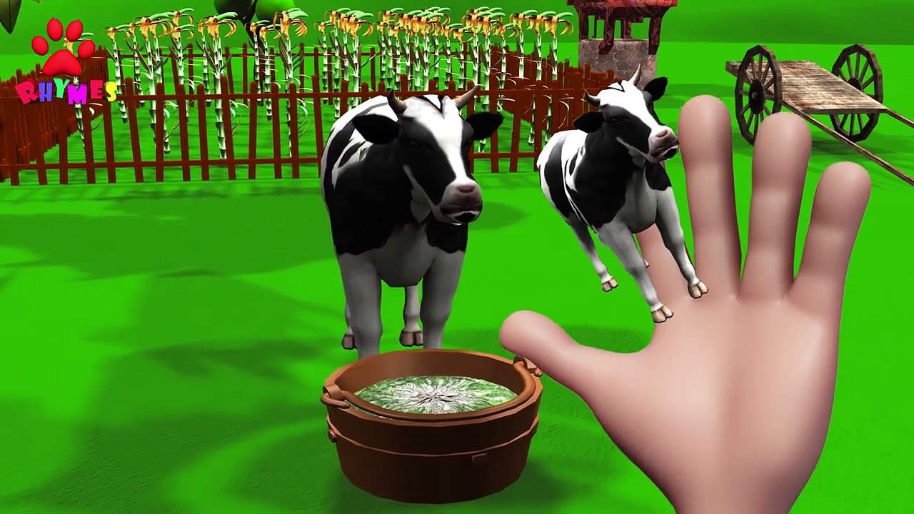 Finger Family Cow Family 3D Nursery Rhyme _ 3D Animal Cartoons Finger Family Songs-b644POwkRJw