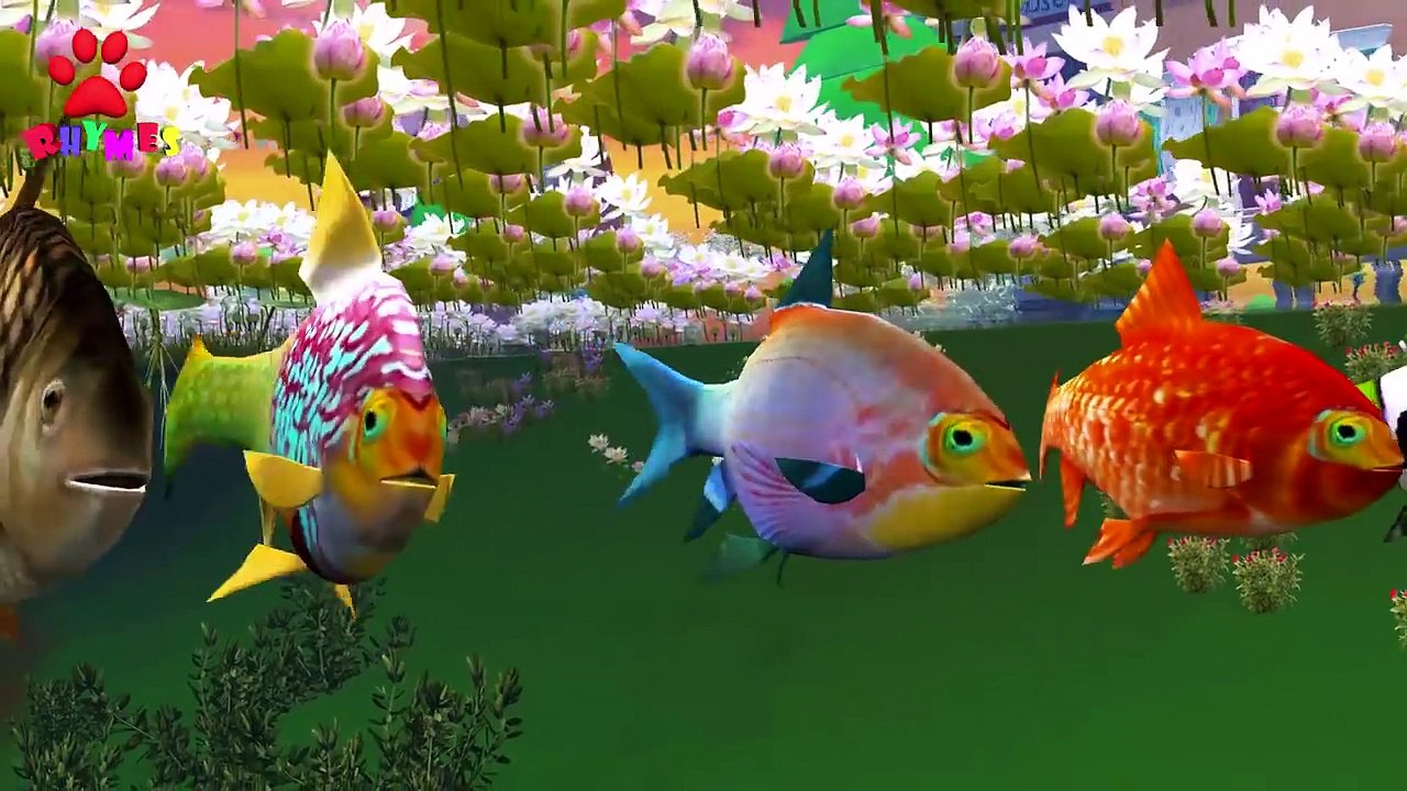 Finger Family Fish Family Nursery Rhyme _ Animal Finger Family _ Fish Finger Family Animals Cartoons-voUE7giWJHQ