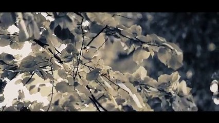 Burhan Yıldız feat. Özge Öz - Melüllenme Deli Gönül