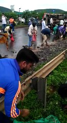 Due to effect of heavy rains The Fishes Flooded out in Bangalore Outskirts