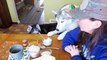 DIY POT OF GOLD DOG TREATS | St Patricks Day