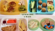 Indian Lunch Box Ideas - Part 1 | Kids Lunch Box Recipes| Quick Lunch Box