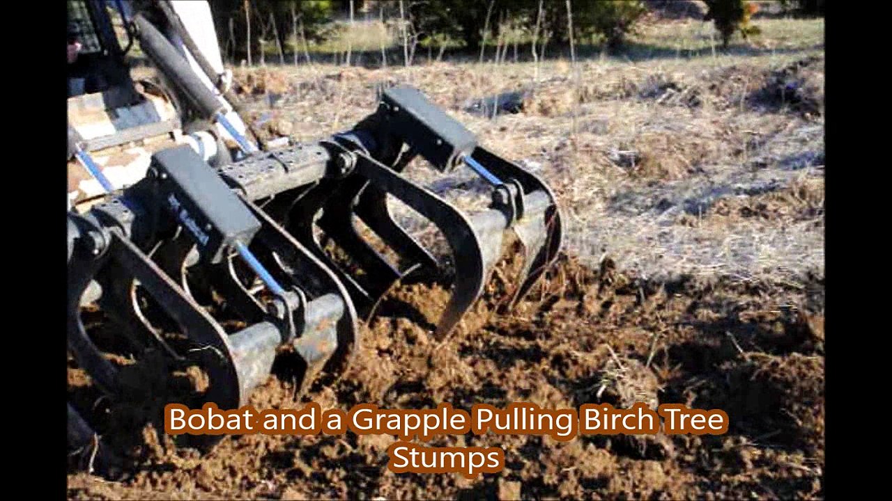 Stumps Be Gone  using a BOBCAT