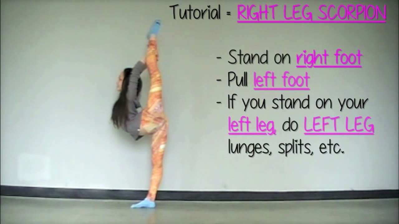 How to Learn a SCORPION - in ONE DAY!
