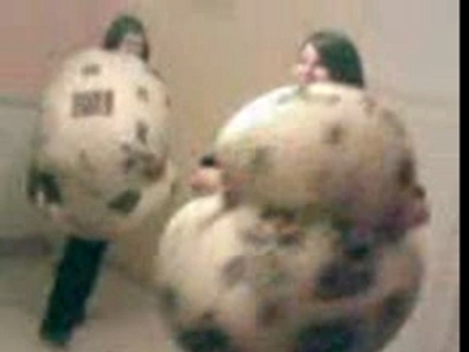 Combat de sumo
