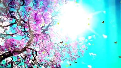 MEU MATERIAL ESCOLAR 2017 - COMPLETO