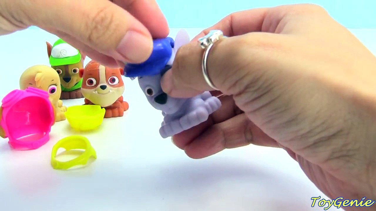 Paw Patrol Mashems Change Outfits