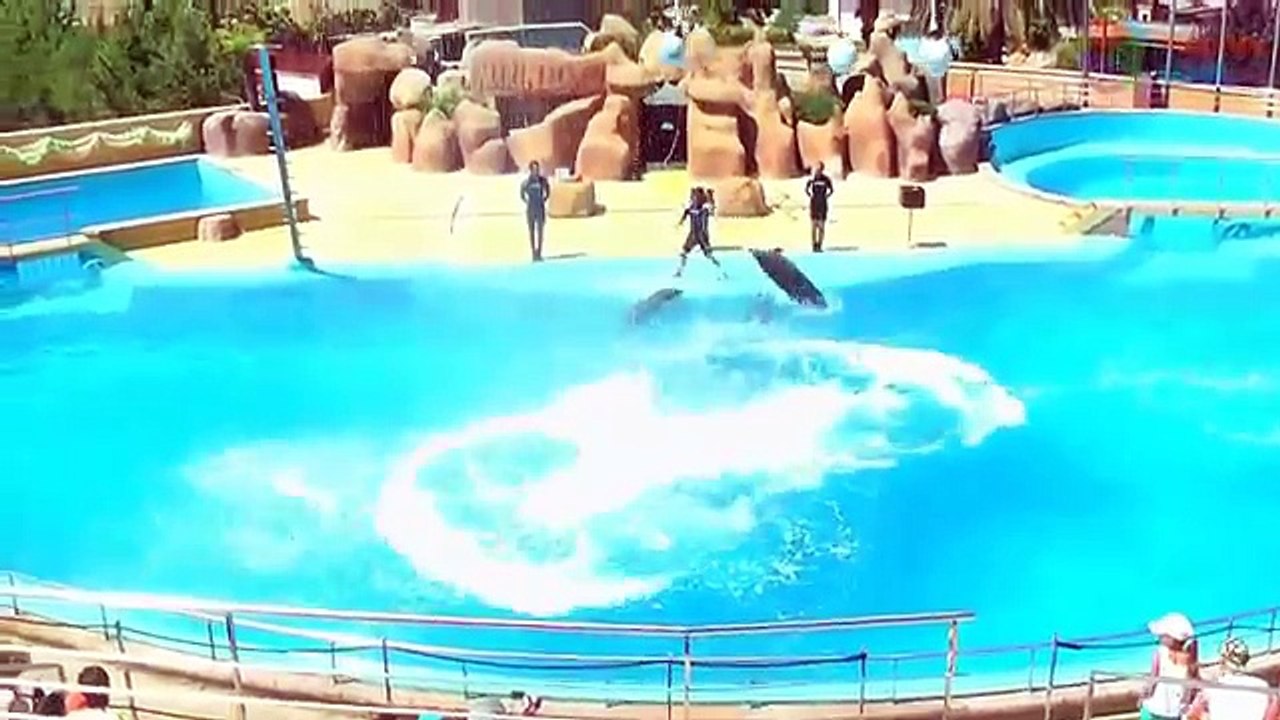 Learn Sea Animals + Water Animals Names and sounds| Finding Nemo - Finding Dory