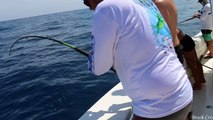 INSANE Action Fishing in the Florida Keys! (Multi Species Fishing)