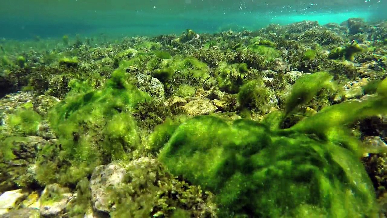 La Sorgue vue du ciel et sous la surface de l'eau