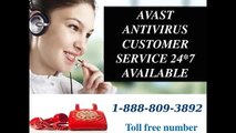 Toll Free  1-888-809-3892 AVG Antivirus Customer Service Phone Number