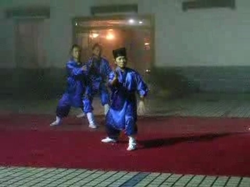 Wudang taiji quan