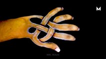 7 Incredible Hand Art Illusions | Mr. Mahi