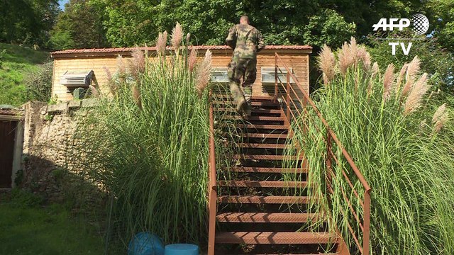 Au Mont Valérien, l'armée française veille sur ses pigeons-voyageurs