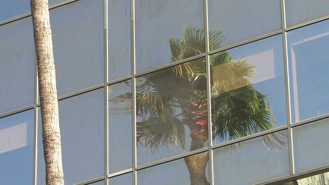 L'Académie des Oscars exclut Harvey Weinstein