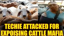Female Techie attacked in Bengaluru for exposing cattle mafia | Oneindia News