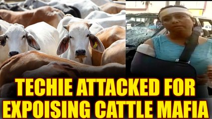 Female Techie attacked in Bengaluru for exposing cattle mafia | Oneindia News