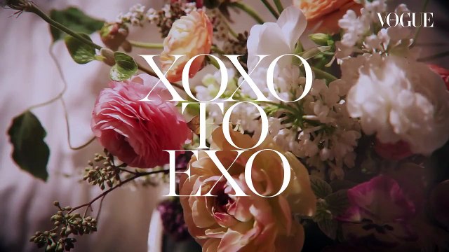 엑소(EXO) VOGUE TV XOXO TO EXO
