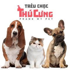 Trêu Chọc Thú Cưng |prank my pet|  Tập 1 Vietsub