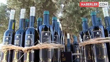Bin 800 Yıllık Ağaçtan Çıkan Zeytinyağı 22 Bin Liraya Satıldı