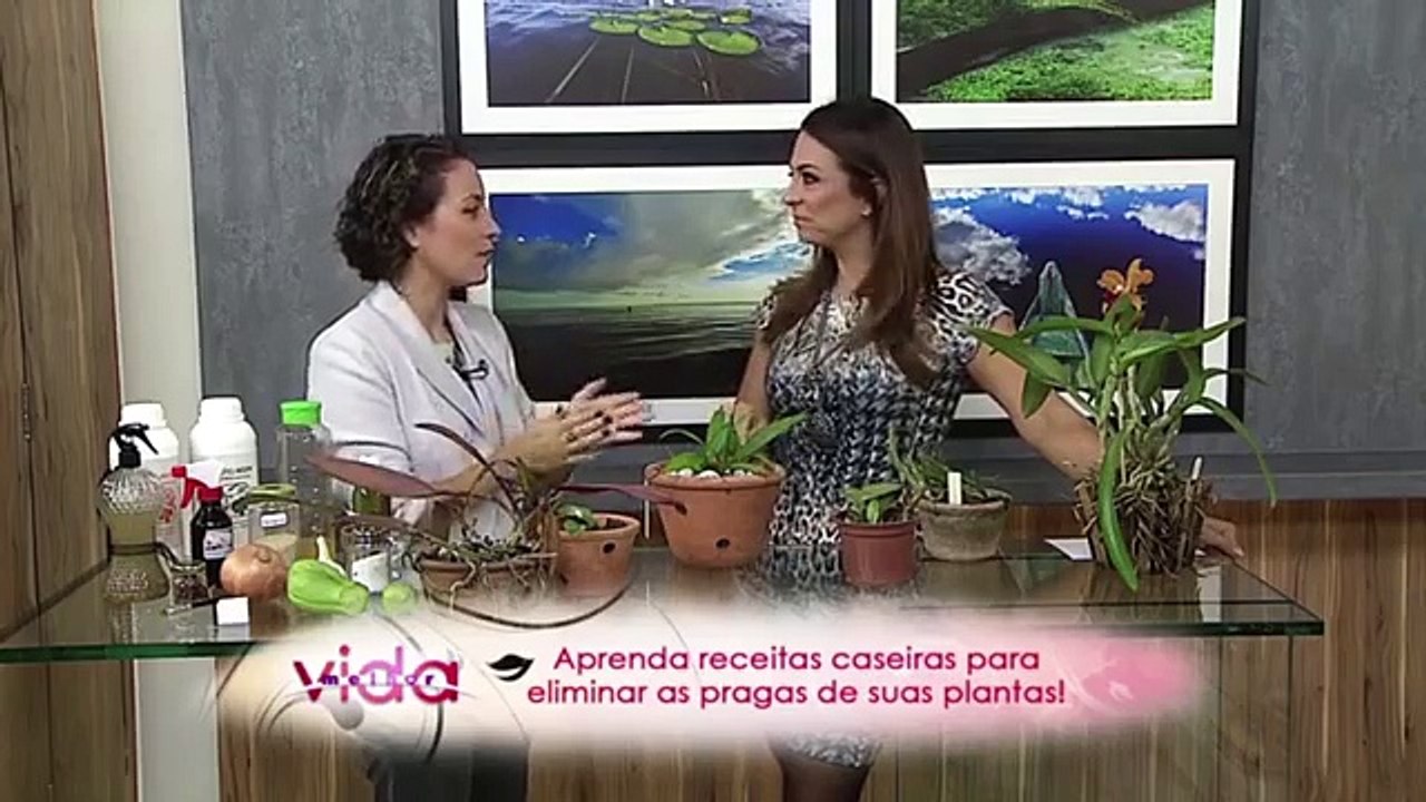 5 receitas caseiras contra pragas nas plantas