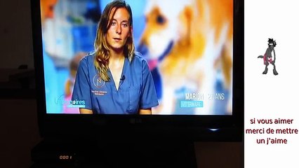 [tuto] comment enregistrer la tv avec le décodeur tnt HD 504+ #2