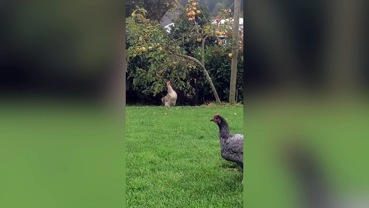 Quand tu es trop petit !