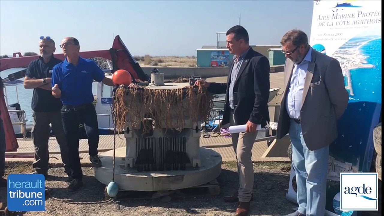 X REEF: Restauration écologique du littoral agathois