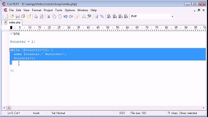 PHP Training In Jaipur|PHP Training Companies In Jaipur| do while Loop
