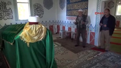 Samsun Korkudan Tek Bir Ağaç Bile Kesmiyorlar