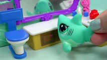 LPS - Big Day - School Of Sharks Series Video Littlest Pet Shop Part 5 Cookieswirlc