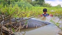 Amazing Bamboo Fish Trap Catch a Lot of Snakes by Two Brothers