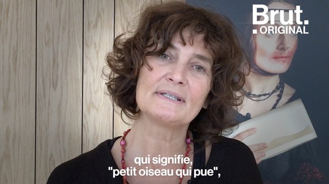 Salope , Chienne , Pute ... que veulent dire ces insultes sexistes ?