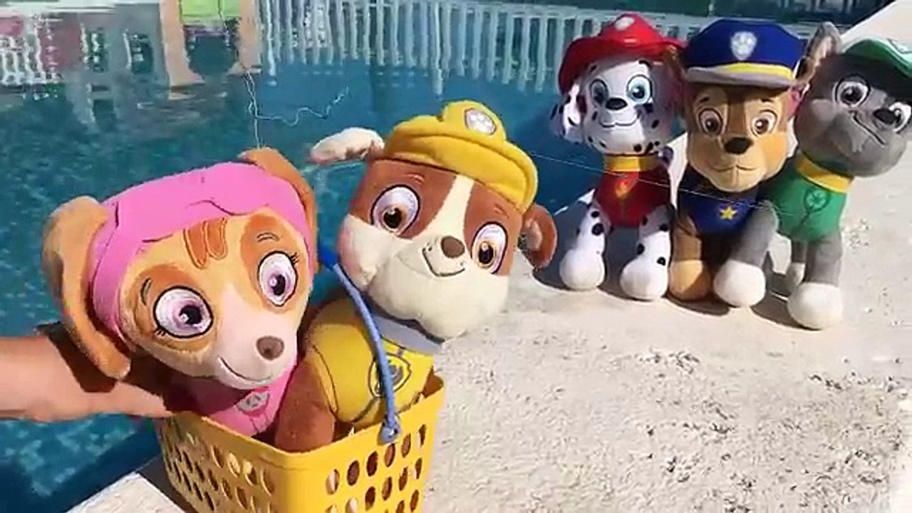Patrulla Canina español y LA FIESTA ACUÁTICA EN LA PISCINA CON COCODRILO Y TIBURÓN/capitulo 87