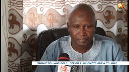 PRODUCTION AGRICOLE : DÉFICIT PLUVIOMÉTRIQUE A ST- LOUIS