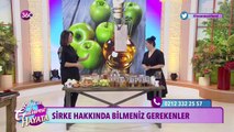 Sirke hakkında bilmeniz gerekenler