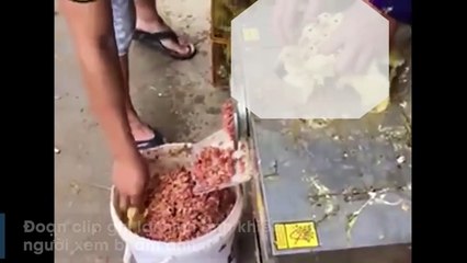 Ám ảnh cảnh tượng cối xay thịt xay nhuyễn đàn vịt con còn sống