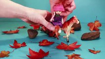 Horse Toys for children | Barbie spielzeug | Bellboxes videos | Juguetes para niños y niñas