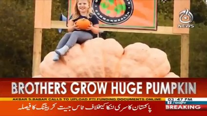 Pumpkin Festival:Twin brothers who grew Britain’s biggest smash their OWN record