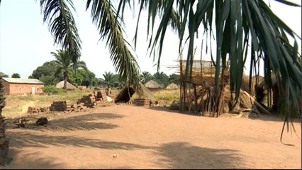 Zambia: Farmers encouraged to plant drought-resistant crops