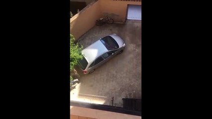 On se demande comment cette conductrice a eu son permis de conduire