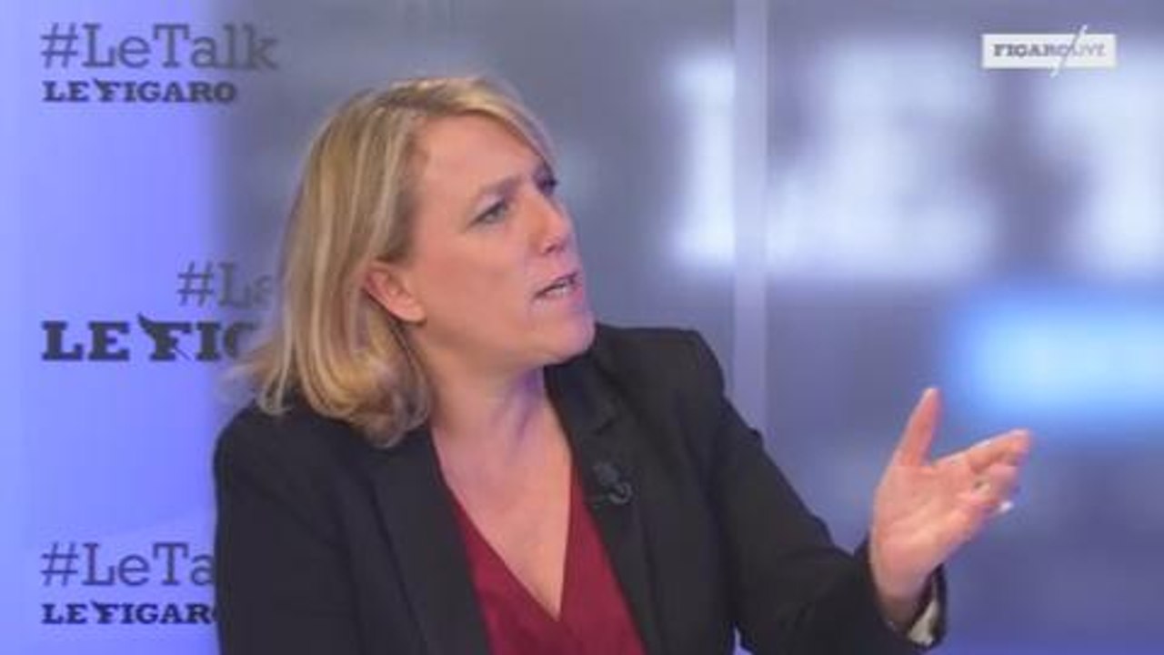 Danielle Simonnet : «Emmanuel Macron est le président des lobbys»