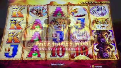 ★JACKPOT WINNER★ BUFFALO GOLD ALL 15 BUFFALO HEADS | SlotTraveler