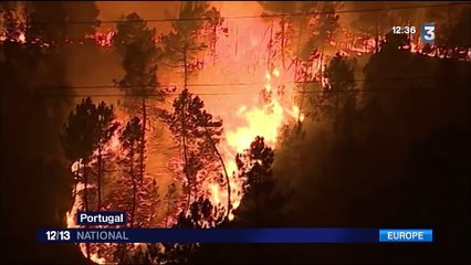 Incendie : le Portugal en proie aux flammes
