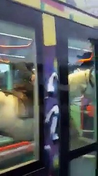 Il monte à cheval dans le tramway de Montpellier