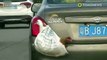 Video de gallina y pato en una bolsa plástica en la parte trasera de un auto se hace viral - TomoNews