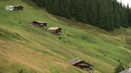 Отдых без связи с миром